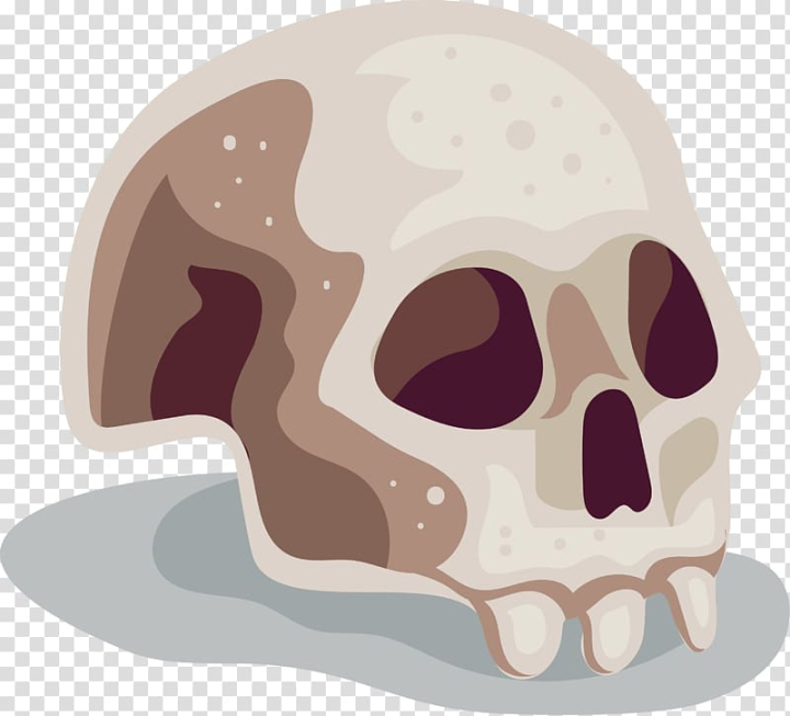 Skeleton Cartoon PNG, Vector, PSD, and Clipart With Transparent Background  for Free Download