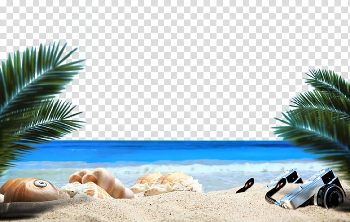 Beach Clipart Images | Free Download | PNG Transparent Background - Pngtree