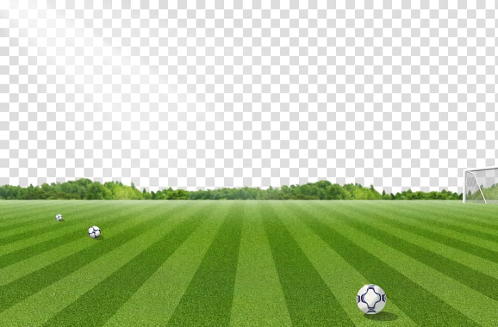 Free: Soccer field under sunlight illustration, Football pitch Lawn,  Football field pattern transparent background PNG clipart 