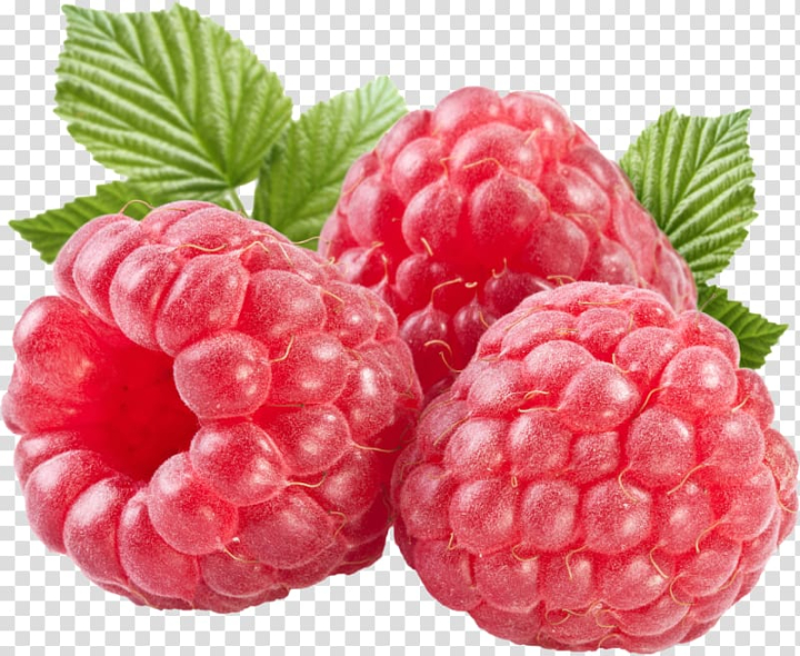 black,raspberry,rraspberry,natural foods,frutti di bosco,food,strawberries,superfood,raspberries blackberries and dewberries,red mulberry,tayberry,ripening,strawberry,royaltyfree,rraspberry ,seedless fruit,stock photography,accessory fruit,produce,macaron,berry,blackberry,boysenberry,cloudberry,computer icons,download  with transparent background,free,fruits,local food,loganberry,west indian raspberry,black raspberry,tart,fruit,png image,ripe,raspberries,png clipart,free png,transparent background,free clipart,clip art,free download,png,comhiclipart
