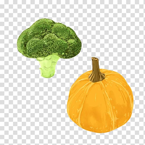 pumpkin,vegetable,oil,broccoli,food,material,miscellaneous,supplies,nutrition,cooking,eating,fruit,celery,vegetables,winter squash,cauliflower,vegetable oil,pungency,vegetation,vector material,olive oil,cooking oil,cucurbita,diet,food supplies,green,handpainted,handpainted vegetable,materials,yellow,png clipart,free png,transparent background,free clipart,clip art,free download,png,comhiclipart