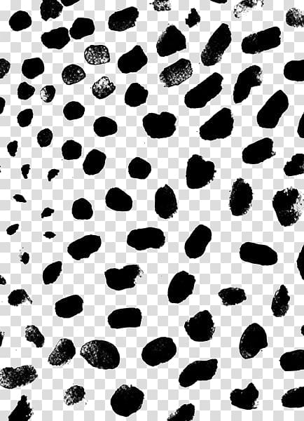 Free: Black and white , Black and white Polka dot Pattern, Leopard