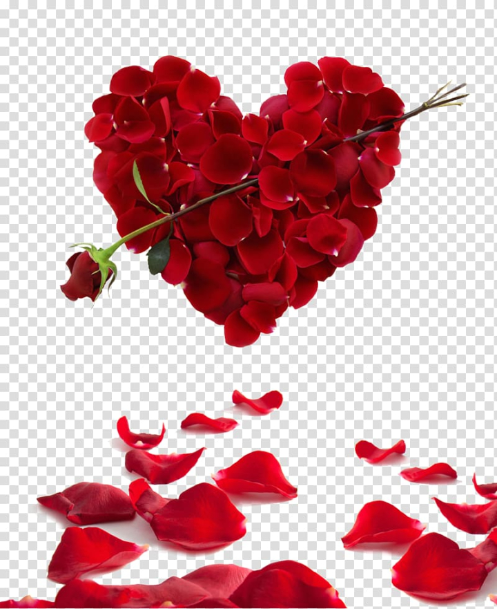 valentine,day,petal,love,infographic,hearts,broken heart,heart vector,rose order,rose petal,saying,heart shaped,love letter,red,romance,rose family,single person,soulmate,stone mandrel,quotation,marriage,cut flowers,feeling,floristry,flowering plant,garden roses,gift,heart beat,heart shape,intimate relationship,leaf and petals,valentine s day,rose,heart,flower,valentine\'s day,flowers,png clipart,free png,transparent background,free clipart,clip art,free download,png,comhiclipart