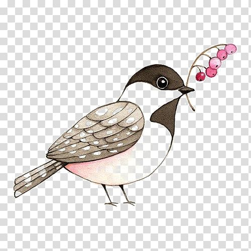Free: Sparrow transparent background PNG clipart 