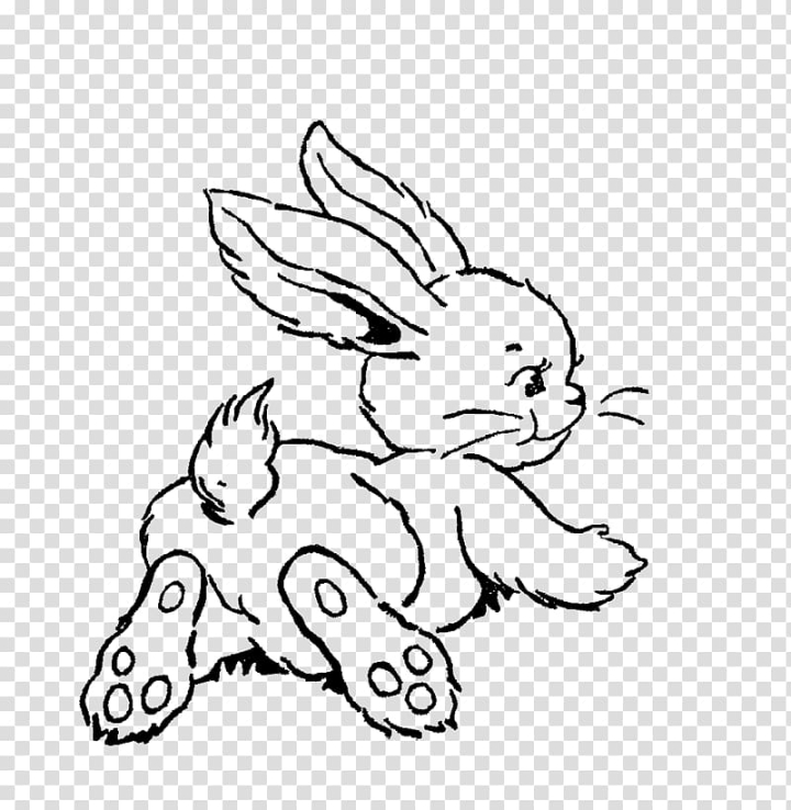 bunny clipart black and white
