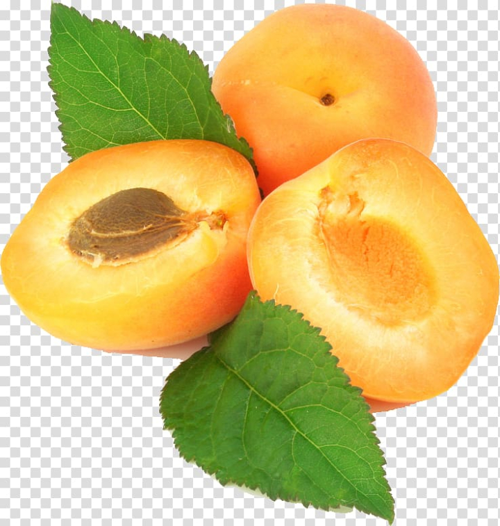 apricot,kernel,oil,natural foods,food,superfood,fruit  nut,apricot flower,dried apricot,peach,pluot,produce,stock photography,yellow apricot,amygdalin,dried apricots,diet food,decoration,computer icons,apricots,apricot blossom yellow,apricot blossom vector,yellow apricot blossom,apricot kernel,apricot oil,fruit,sliced,yellow,fruits,png clipart,free png,transparent background,free clipart,clip art,free download,png,comhiclipart