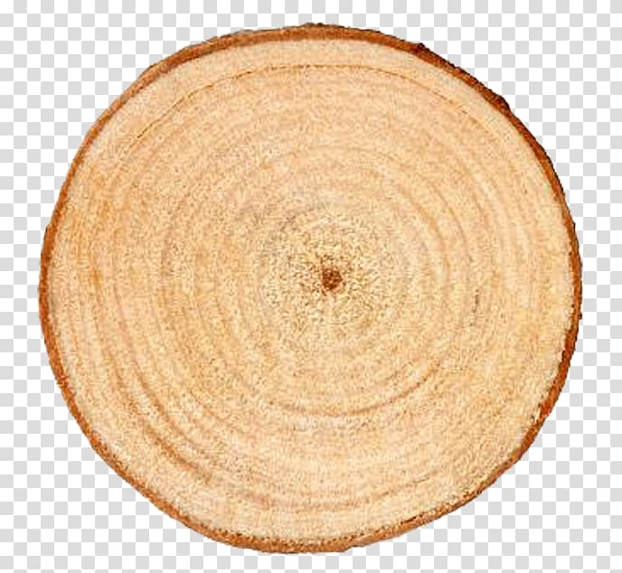 aastarxfngad,tree,trunk,ring,rings,love,texture,plate,tree branch,natural,palm tree,gold,color,pine tree,wood,log,texture mapping,family tree,platter,section,annual,tree stump,transverse section,transverse,log color,annual ring,tableware,autumn tree,christmas tree,circle,designer,dishware,aastarxf5ngad,tree trunk,tree rings,brown,end,png clipart,free png,transparent background,free clipart,clip art,free download,png,comhiclipart