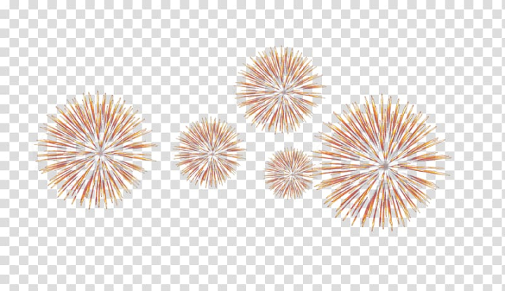 background,holidays,new,year,firework,fireworks vector,background vector,pyrotechnics,rgb color model,white fireworks,light fireworks,line,gratis,golden fireworks,fireworks effect,fire,chinese new year,chinese,cartoon fireworks,artificier,light,fireworks,png clipart,free png,transparent background,free clipart,clip art,free download,png,comhiclipart