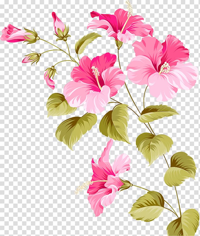 euclidean,flowers,watercolor painting,herbaceous plant,flower arranging,branch,plant stem,malvales,magenta,design,pink flower,blossom,red,royaltyfree,floristry,shrub,squid,stock photography,the arts,watercolor flower,watercolor flowers,pink,petal,floral design,drawing,flower bouquet,flower pattern,flower vector,flowering plant,decorative patterns,mallow family,cherry blossom,pattern,flower,hibiscus,euclidean vector,plant,illustration,png clipart,free png,transparent background,free clipart,clip art,free download,png,comhiclipart