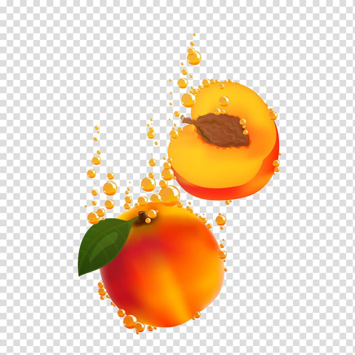 royalty,food,splash,orange,royaltyfree,fruit  nut,peach petals,watercolor peach,peach fruit,stock photography,peaches,vegetarian food,peach flowers,peach flower,broke,containing,drawing,droplets,peach blossom,apricot,juice,peach,fruit,png clipart,free png,transparent background,free clipart,clip art,free download,png,comhiclipart