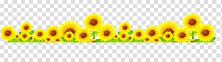 common,sunflower,text,grass,sunflower seed,flower,flowers,sunflowers,sunflower oil,watercolor sunflower,sunflower watercolor,watercolor sunflowers,sunflower yellow,vecteur,sunflower seeds,sunflower border,resource,gratis,grasses,flowering plant,euclidean vector,yellow,common sunflower,illustration,png clipart,free png,transparent background,free clipart,clip art,free download,png,comhiclipart