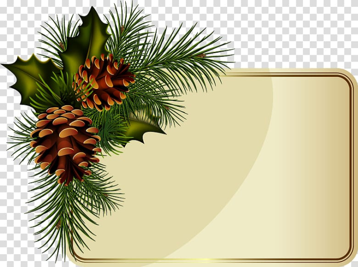 new,year,pine,cone,border,frame,botany,shading,border frame,head,christmas decoration,new year  ,vintage border,certificate border,spruce,corner,outer,outer frame,outline,pine family,pineal,portrait,tree,nature,holiday,avatar,avatar outline,christmas border,christmas ornament,conifer,conifer cone,evergreen,fir,floral border,flower borders,gift,gold border,head portrait,advent wreath,wreath,christmas,new year,pine cone,png clipart,free png,transparent background,free clipart,clip art,free download,png,comhiclipart
