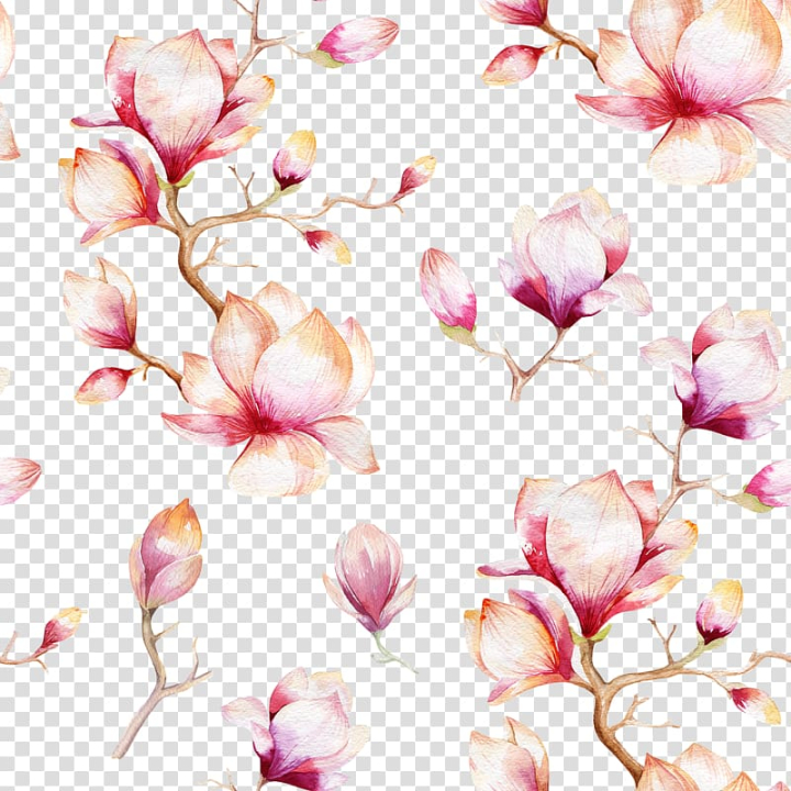 Pink Flower Stem Petals Decoration Vector Illustration Royalty