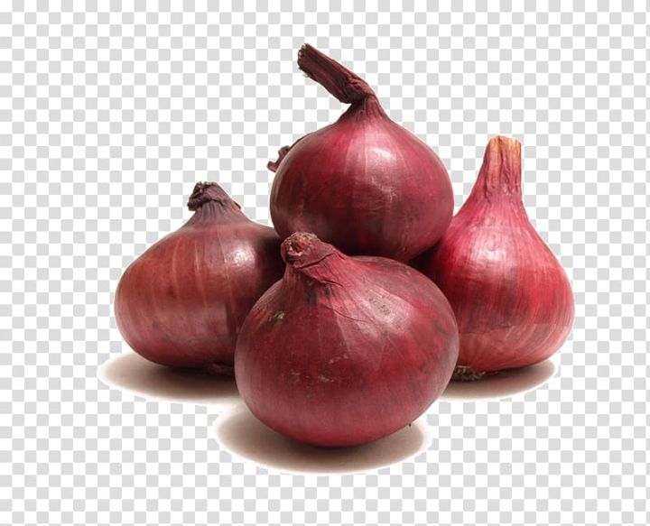 Group Thai red onion or Shallots. Fresh purple shallots on white  background. Selected focus. Concept of spices in healthy cooking 9629790  Stock Photo at Vecteezy