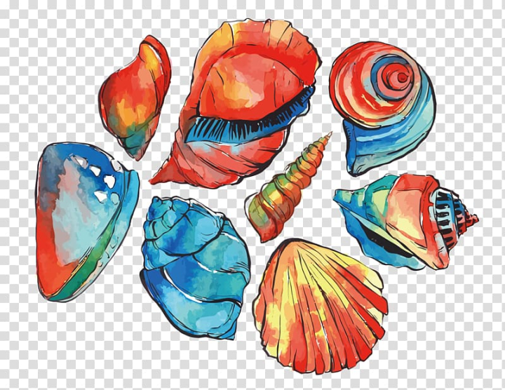 watercolor,painting,shells,png material,happy birthday vector images,ocean,encapsulated postscript,material,png picture material,png picture,egg shell,seashell,shell,shells and starfish,shells vector,sea shells,sea shell,png material free download,petal,pearl shell,pearl in shells,nature,euclidean vector,designer,watercolor painting,illustration,red,blue,conch,png clipart,free png,transparent background,free clipart,clip art,free download,png,comhiclipart
