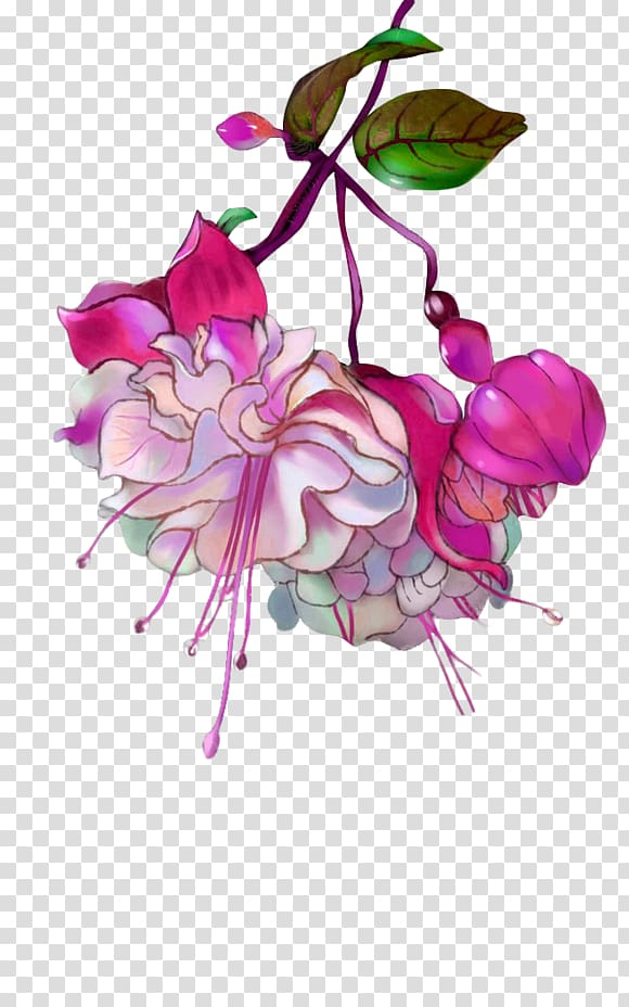 Gratis: ilustración de flores fucsias en blanco y rosa, archivo de computadora de flor roja, peonía PNG Clipart - nohat.cc