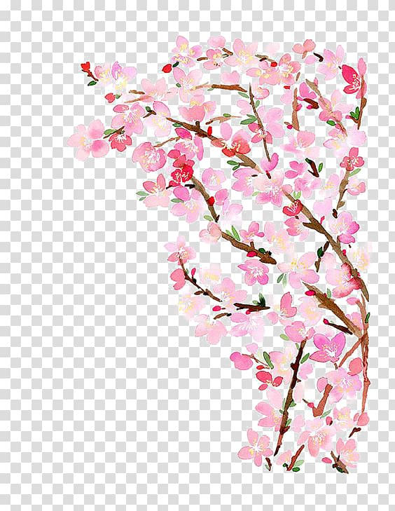 cherry,blossom,watercolor,painting,peach,tree,flower arranging,painted,hand,tree branch,branch,palm tree,pine tree,flower,paint,fruit  nut,spring,family tree,pink peach,pink,plant,printing,floral design,autumn tree,trees,wall decal,petal,peach blossom,flora,flowering plant,folkcustom,drawing,hand painted,christmas tree,branches,art museum,paper,cherry blossom,watercolor painting,peach tree,petaled,flowers,png clipart,free png,transparent background,free clipart,clip art,free download,png,comhiclipart