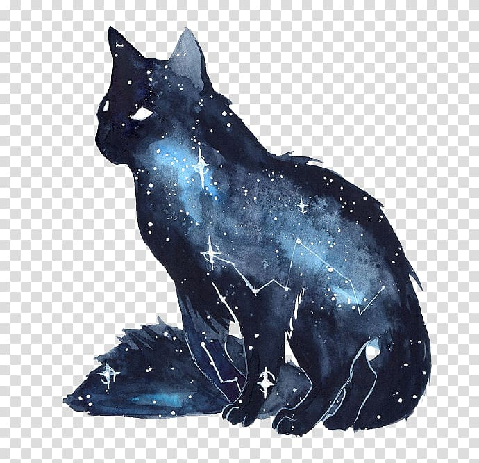 Mèo ngân hà: Nếu bạn yêu mèo và không thể rời mắt khỏi những cảnh tinh tú và ngân hà lấp lánh, hãy xem xét hình ảnh của mèo ngân hà. Vô số những hình ảnh dễ thương và kỳ lạ sẽ khiến bạn cảm thấy như đang ngắm vũ trụ từ một góc nhìn khác.