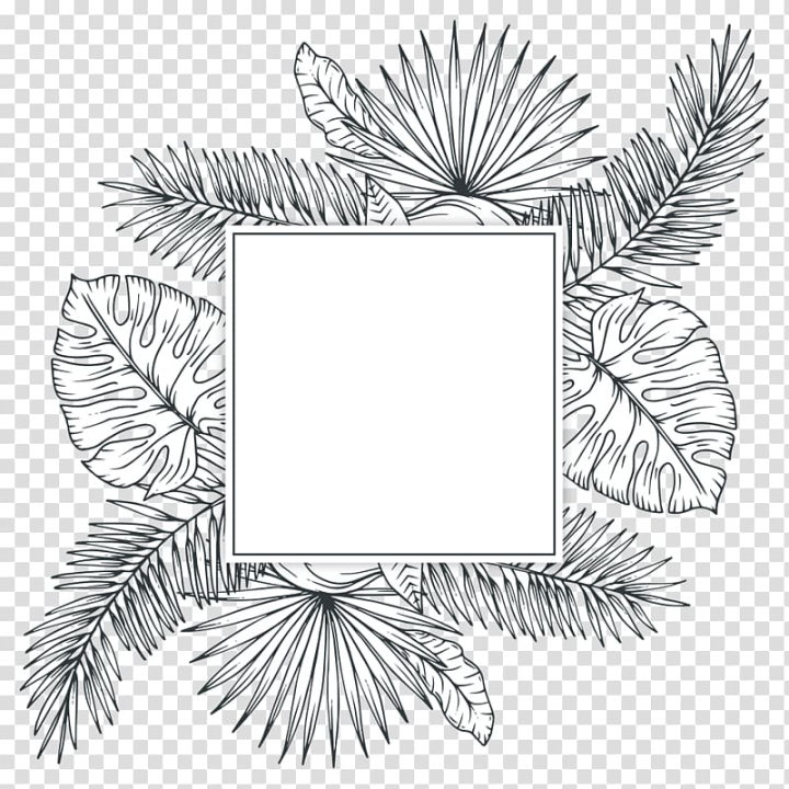 plant,tropical,plants,leaf,rectangle,branch,monochrome,arecaceae,flower,flowers,picture frame,tropical flowers,potted plant,tropical leaves,tree,tropic,tropical flower,tropical climate,tropical elements,planting,black and white,circle,drawing,elements,euclidean vector,flowering plant,food  drinks,information,line,line art,monochrome photography,tropics,sketch,tropical plants,white,black,frame,illustration,png clipart,free png,transparent background,free clipart,clip art,free download,png,comhiclipart