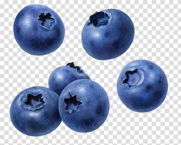 blue fruit clipart