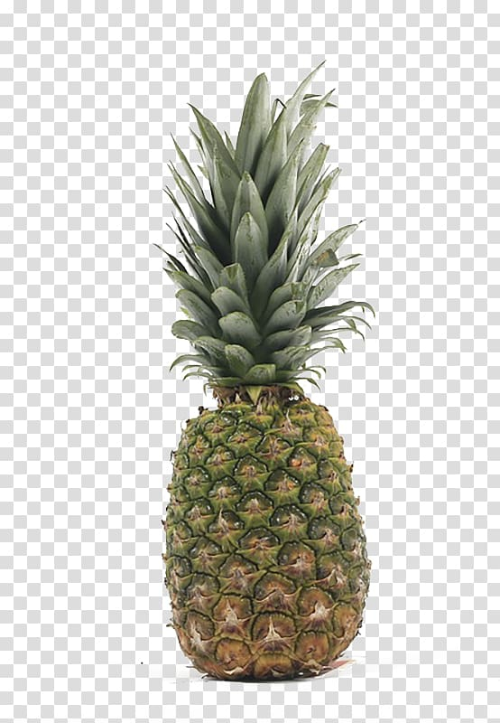 orange,juice,fruit,food,tropical fruit,pineapple slice,watercolor pineapple,melon,fruit  nut,pineapple juice,licence cc0,auglis,stockxchng,plant,pixabay,pineapples,pineapple vector,pineapple slices,bromeliaceae,cartoon pineapple,flowerpot,ananas,orange juice,pineapple,tropical,png clipart,free png,transparent background,free clipart,clip art,free download,png,comhiclipart