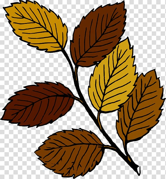 autumn,leaf,color,cartoon,fall,branch,plant stem,twig,tree,scalable vector graphics,rose,plant,green,free content,cartoon fall leaf,blog,autumn leaf color,png clipart,free png,transparent background,free clipart,clip art,free download,png,comhiclipart