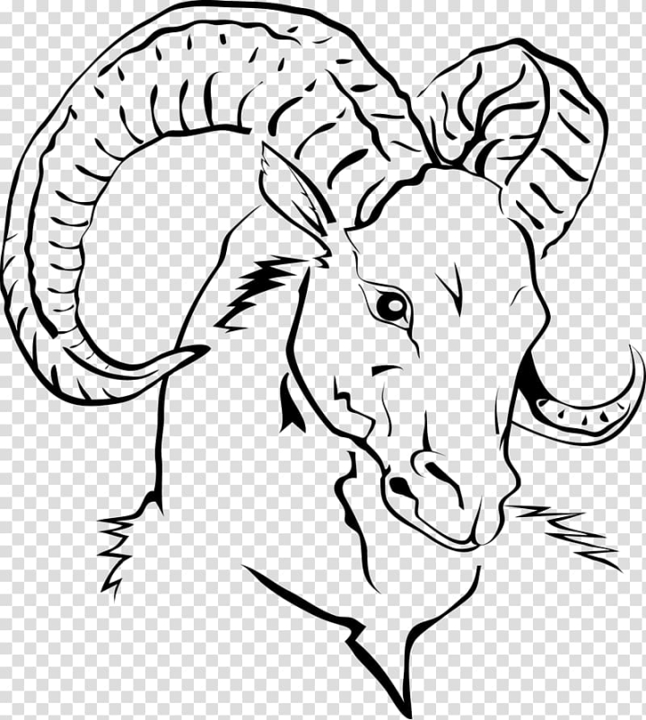 Free: Black ram illustration, Goat Sheep Domestication of animals, line  drawing goat head transparent background PNG clipart 
