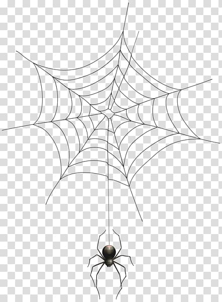 spider,web,white,leaf,symmetry,monochrome,insects,web button,web template,royaltyfree,animal,encapsulated postscript,structure,web icons,cobweb,web page,web icon,black and white,circle,web banner,invertebrate,drawing,point,euclidean vector,line art,line,monochrome photography,spider web,halloween,web spider,black,png clipart,free png,transparent background,free clipart,clip art,free download,png,comhiclipart