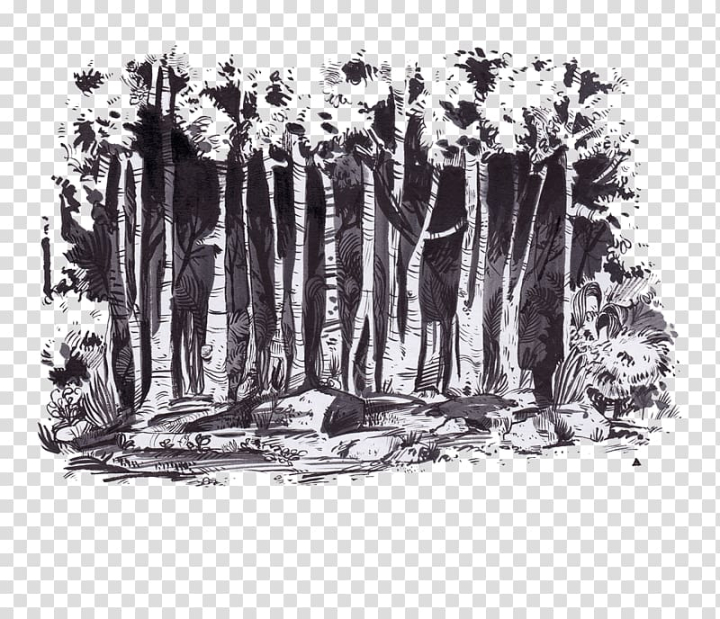 t,shirt,wish,winter,monochrome,dark,forests,structure,top,forest animals,black forest,panic,tree,tshirt,watercolor forest,winter forest,nature,dark forest,drawing,euclidean vector,forest animal,forest background,forest watercolor,cool,monochrome photography,black and white,t-shirt,forest,icon,leafless,trees,illustration,png clipart,free png,transparent background,free clipart,clip art,free download,png,comhiclipart