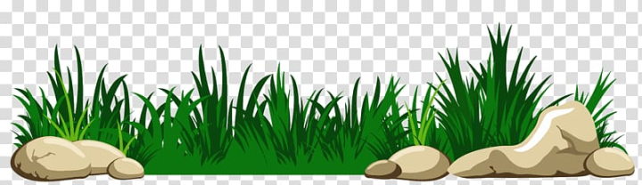 Free: , Grass with Rocks , animated green grass transparent background PNG  clipart 