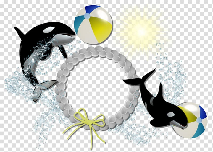 frame,vecteur,centerblog,dolphin,beach,animals,logo,computer wallpaper,cute dolphin,ocean,flower,encapsulated postscript,dolphins ,dolphine,dolphin cartoon,sea,apng,ball,ocean wind flower frame,blog,boxes,jumping dolphins,graphic design,bubble,flower boxes,cartoon dolphin,wind,picture frame,png clipart,free png,transparent background,free clipart,clip art,free download,png,comhiclipart