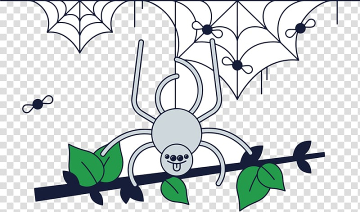 spider,web,euclidean,angle,leaf,branch,symmetry,insects,happy birthday vector images,window,material,encapsulated postscript,structure,cartoon spider web,spiders,spider web,cobweb,spider vector,spider webs,tree,spiderman,spider cartoon,scalable vector graphics,organism,area,branches,diagram,euclidean vector,google images,graphic design,green,halloween spider,adobe illustrator,line,world wide web,png clipart,free png,transparent background,free clipart,clip art,free download,png,comhiclipart