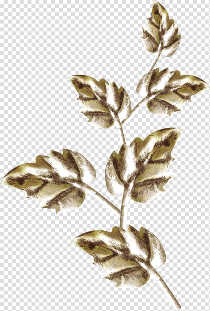 leaf,gold,leaves,watercolor leaves,branch,plant stem,fall leaves,palm leaves,material,gold frame,plant,leaf and petals,designer,gold material,gold border,jewelry,twig,gold leaf,bronze,png clipart,free png,transparent background,free clipart,clip art,free download,png,comhiclipart