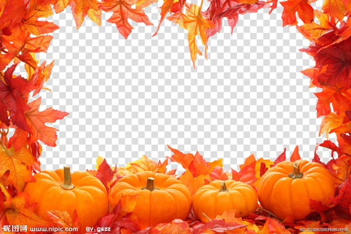 autumn,leaf,color,leaves,border,template,watercolor leaves,maple,maple leaf,orange,border frame,fall leaves,gourd,certificate border,fruit,pumpkin,winter squash,gold border,autumn leaf color,vegetable,tree,thanksgiving,autumn leaves,stock photography,red,calabaza,cucurbita,nature,microsoft powerpoint,fall,floral border,png clipart,free png,transparent background,free clipart,clip art,free download,png,comhiclipart