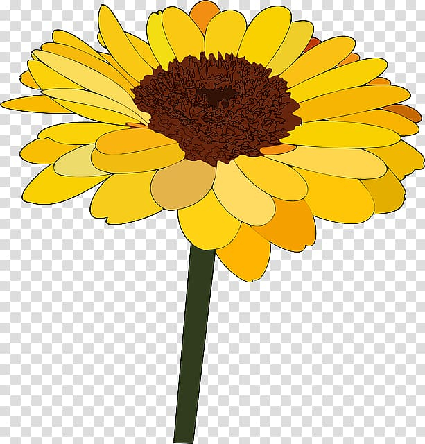 Free: Common sunflower Cartoon Drawing , Blooming sunflowers transparent  background PNG clipart 