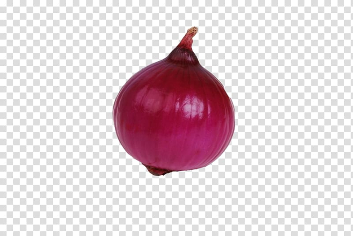 Red Onion Fresh Bag String Photo Background And Picture For Free Download -  Pngtree