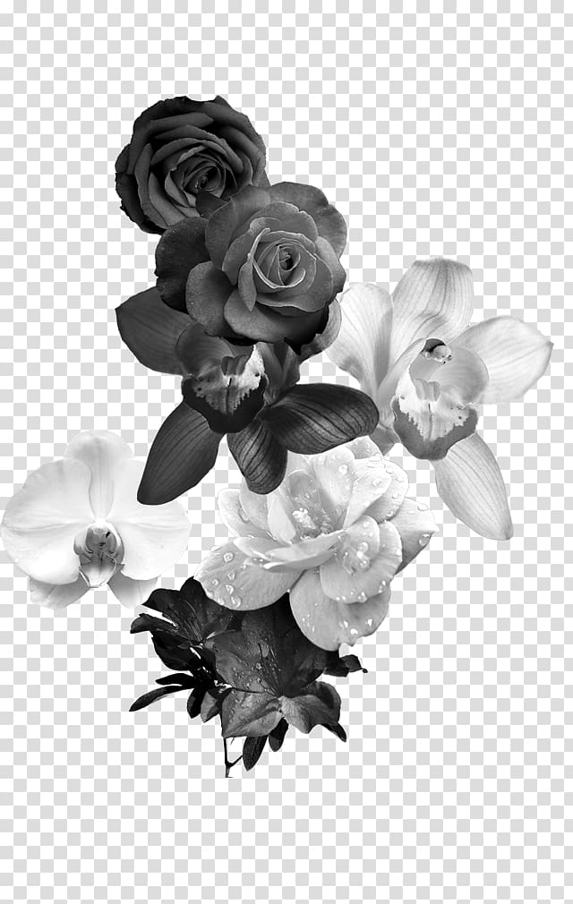 Black And White Flower png download - 4117*2226 - Free Transparent