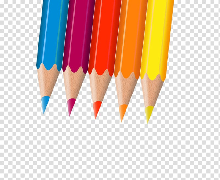 Color Splash! Colored Pencils (Box of 50)