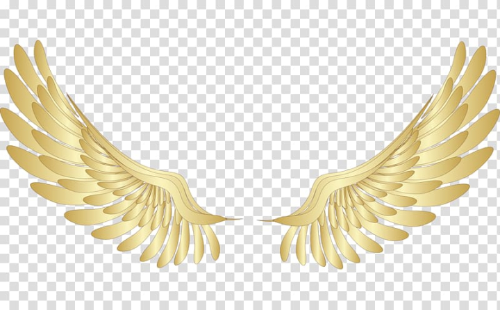 Gold Feathers PNG Transparent Images Free Download, Vector Files