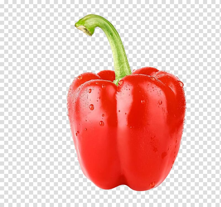 bell,pepper,vegetarian,cuisine,trinidad,moruga,scorpion,red,natural foods,food,cayenne pepper,chili pepper,nightshade family,fruit,pimiento,vegetables,habanero,superfood,paprika,peppers,red carpet,red curtain,red bell pepper,acerola,red ribbon,red sea,red apples,potato and tomato genus,bell peppers and chili peppers,black pepper,capsicum,capsicum annuum,diet food,habanero chili,local food,malagueta pepper,peperoncini,plant,bell pepper,vegetarian cuisine,vegetable,trinidad moruga scorpion,seed,red pepper,png clipart,free png,transparent background,free clipart,clip art,free download,png,comhiclipart