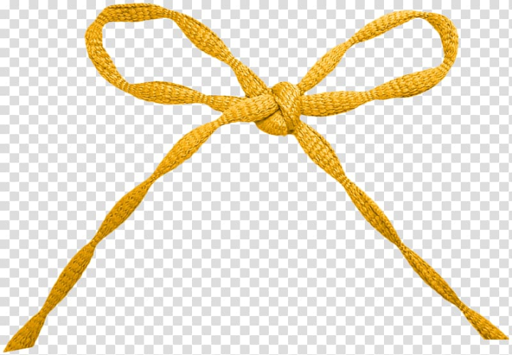 Free: Rope Shoelace knot Ribbon, Orange bow rope transparent