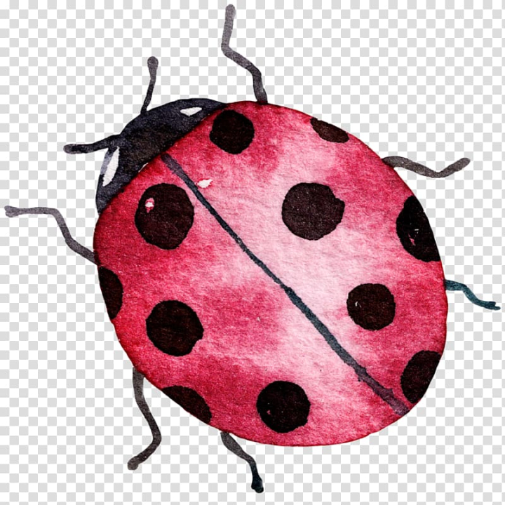 Download Ladybug Insect Illustration Royalty-Free Stock