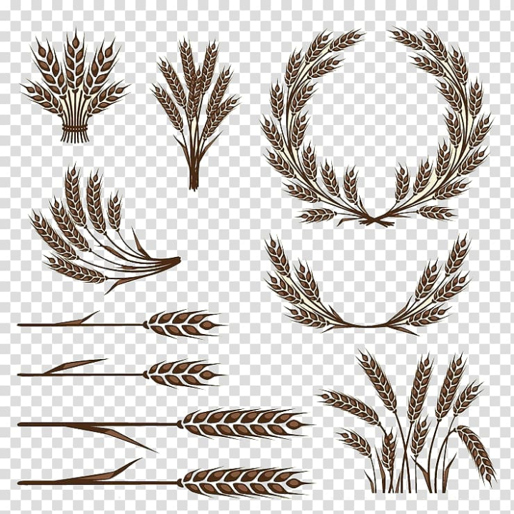 food,branch,logo,twig,rice paddy,rice bags,encapsulated postscript,royaltyfree,bread,cereal,rice field,rice grain,rice bowl,advertising,plant,line,grass family,fried rice,food  drinks,commodity,caryopsis,brown rice,wheat,icon,rice,laurel,wreath,illustration,collage,png clipart,free png,transparent background,free clipart,clip art,free download,png,comhiclipart