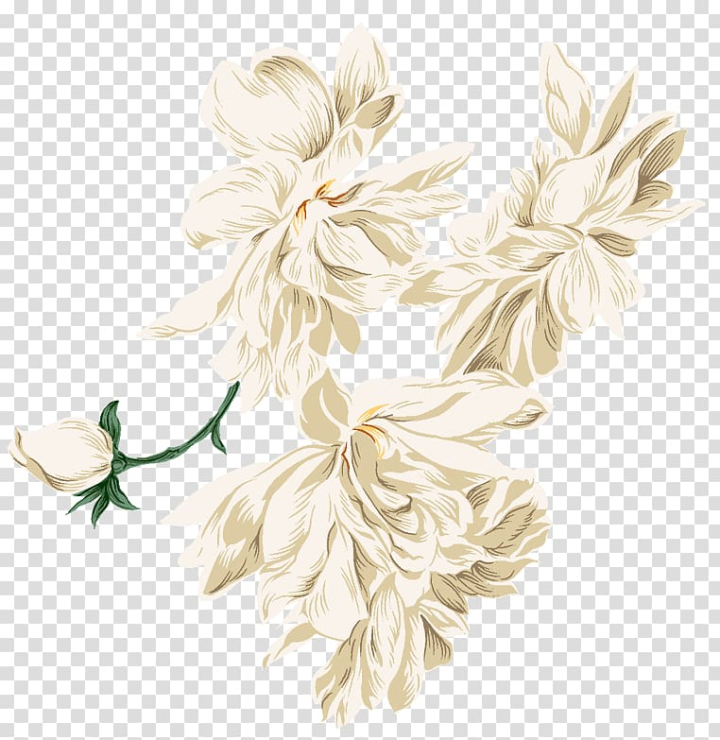 forbidden,flowers,womens,sexual,fantasies,white,peony,ink,black white,flower,encapsulated postscript,ink wash painting,adobe illustrator,white background,white flower,white flowers,white peonies,peonies,nature,national flower,national,moutan peony,background white,white smoke,png clipart,free png,transparent background,free clipart,clip art,free download,png,comhiclipart