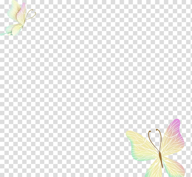 Flying Butterfly PNG Transparent Images Free Download
