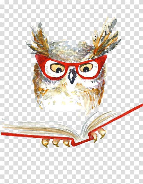Free: Owl reading book wearing eyeglasses , Owl Drawing Watercolor  painting, owl transparent background PNG clipart 