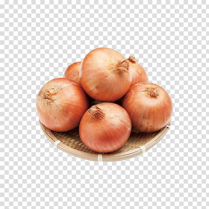 clipart yellow onion