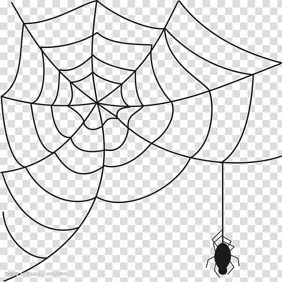 spider,web,angle,white,leaf,monochrome,symmetry,insects,black,animal,website,structure,spiders,cartoon spider web,spider man logo,webs,cobweb,spider monkey,spider webs,stock photography,stockxchng,spiderman,point,black and white,black spider,blog,circle,drawing,halloween spider,line,line art,monochrome photography,plant,area,spider web,web clip,png clipart,free png,transparent background,free clipart,clip art,free download,png,comhiclipart
