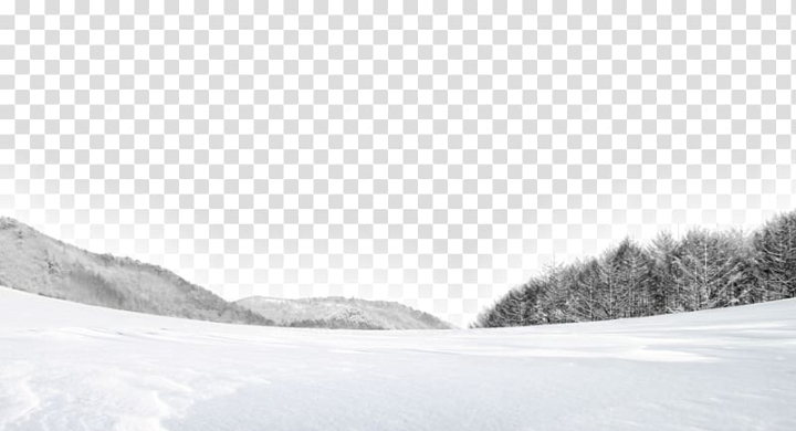 shulin,district,white,snow,black white,monochrome,material,forest,snow flakes,snow mountain,snow falling,snowflake,stock photography,background,white background,white background material,white flower,white smoke,snow background,black and white,creative,creative winter,designer,line,monochrome photography,mountain,nature,sky,winter storm,shulin district,winter,png clipart,free png,transparent background,free clipart,clip art,free download,png,comhiclipart