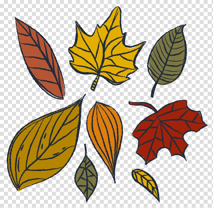 Autumn Leaves PNG, Fall Leaves Clip Art, Detailed Autumn Leaf, Botanical  Line Art, Hand Drawn Autumn Clip Art, Vintage Illustration Download - Etsy  Israel